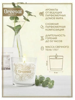 Breesal ароматическая свеча Aroma Sphere Волшебное пробуждение 170 г (4)  фото 2