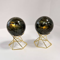 Шар из Лабрадора на подставке