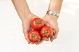 Томат Лирика - Партнер фото 3