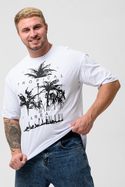 Футболка мужская 8507/1 оверсайз