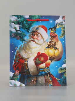 Цена за 2 шт. Пакет подарочный «Зимний волшебник», 26×12×32 см