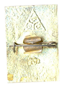 Значок Владимир