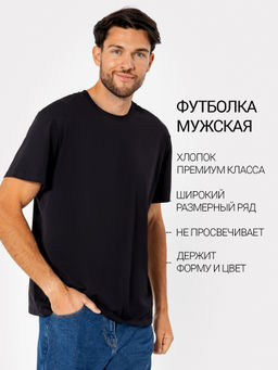 Футболка мужская в черном цвете черный 111831