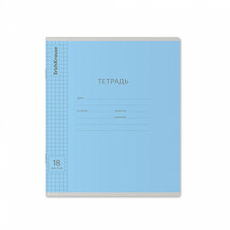 Цена за 200 шт. Тетрадь школьная ученическая ErichKrause Классика Visio зеленая, 18 листов, клетка (в плёнке по 10 шт.)  фото 33