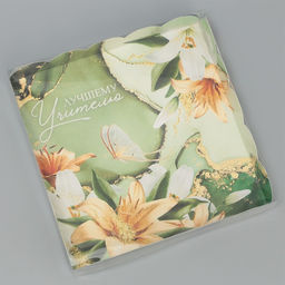 Цена за 5 шт. Коробка для печенья, кондитерская упаковка с пластиковой крышкой, «Лучшему учителю», 18×18×3 см