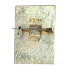 Значок Владимир