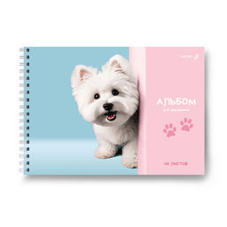 Светоч А232 Альбом для рисования, выбор.лак. 100 г/м2 A4 29.5 х 21 см 5 шт. на гребне 40 л. 01618 МИКС Движение - жизнь  фото 15