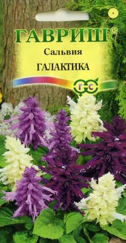 Галактика,смесь сальвия карликовая 6шт (г)