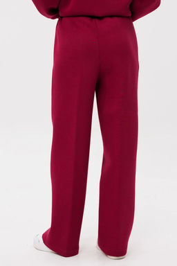 Брюки GO F2065w/12-01.164-170 вишня - Pirs фото 2
