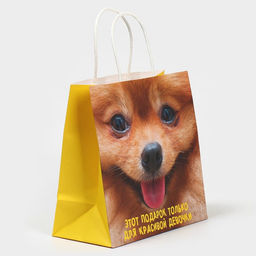 Цена за 2 шт. Пакет подарочный, упаковка, Подарочек, 22?22?11 см