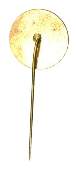 Значок Загреб институт