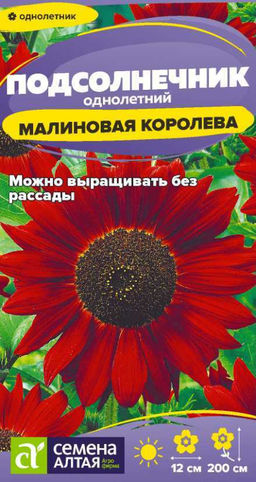 Подсолнечник Малиновая королева 0,3г (Семена Алтая)