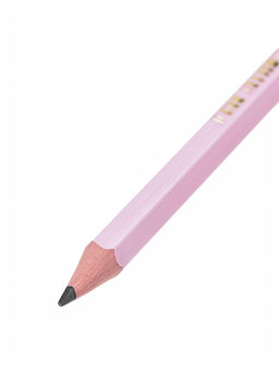 Цена за 2 шт. Карандаши чернографитные BIC HB Evolution «Пастель», набор 5 штук, пластиковые