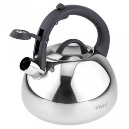 Чайник из нержавеющей стали 2,8л Brandon s0,6мм, дно д15см, s0,6мм, со свистком, зеркальная полировка снаружи, матовая внутри, пластмассовая ручка с покрытием soft-touch, TalleR (Китай) - Домашняя мода фото 4
