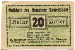 20 геллеров 1920 года Австрия Тумельсхат (нотгельд)