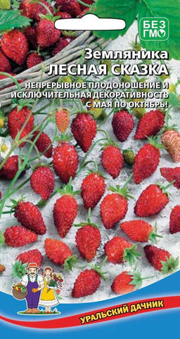 Земляника ЛЕСНАЯ СКАЗКА Непрерывное плодоношение и исключительная декоративность с мая по октябрь!