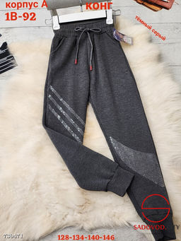 Спортивные детские штаны с начёсом