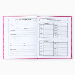 Дневник школьный для 1-11 класса, в твердой обложке, 40 л. «XO»