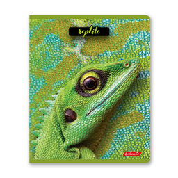 Светоч 80ТСК5_8_2_1 Тетрадь ученическая общая, твин лак, A5 80 л. на скобе 65 г/кв.м , белизна 100 % 5 шт. клетка 000487 Рептилии  фото 4