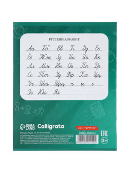 Тетради 10 штук 12 листов в линейку Calligrata KIDS, блок офсет, 5 видов