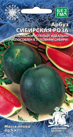 Арбуз СИБИРСКАЯ РОЗА Ультраскороспелый и неприхотливый! Идеально приспособлен к условиям Сибири!