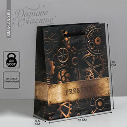 Цена за 2 шт. Пакет подарочный ламинированный, упаковка, «Steel», S 12 х 15 х 5.5 см