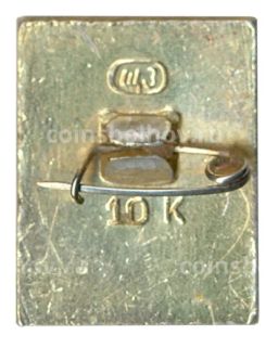 Значок Кострома