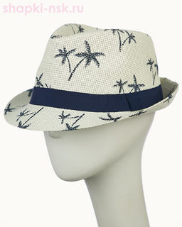 23804 Шляпа мужская (58)