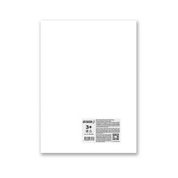 Светоч Картон белый К303 200 г/м2 A5 16.3 х 20.1 см 30 л. 34 шт. 01894