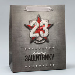 Цена за 2 шт. Пакет подарочный ламинированный, упаковка, «С 23 февраля», MS 18×23×10 см