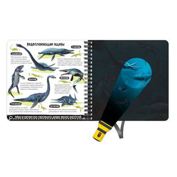 Секретная книга с волшебным фонариком Диноленд, 22 стр. - Буква-ленд фото 5