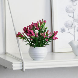 Искусственный цветок в горшке «Крассула», 5.5×11 см, МИКС