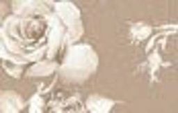 Комбинация Mia-Mia 5768 (бежевый)XL