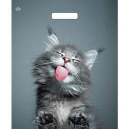 Пакет с вырубной ручкой 38х45+3 60мкм Тико ламинация (Кот) ВУР51801 упак/50шт.