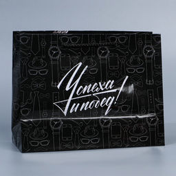 Цена за 2 шт. Пакет подарочный ламинированный, упаковка, 23 февраля, MS 23?18?8 см