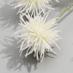 Цветы искусственные «Мордовник, шароголовый», h=70 см, белые