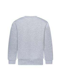 Костюм детский меланж тедди в наушниках 7045г (116, 60)