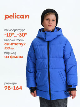 PELICAN, куртка для мальчиков, Ультрамарин