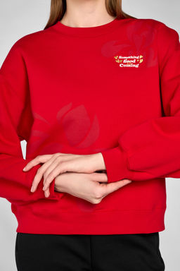 Свитшот Красный - Anta фото 6