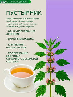 Хвойный чай с Пустырником (напиток чайный) / 100 г / ТМ Сибирская клетчатка