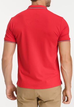 Джемпер мужской с воротником поло короткий рукав GREG G144-TS-3 (красный)  фото 2