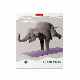 Цена за 5 шт. Тетрадь общая ученическая ErichKrause Yoga Style, 48 листов, клетка, матовая ламинация_MIX-PACK фото 6