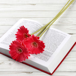 Цветок искусственный Гербера 43 см малиновый / 1501 /уп 56/560/ латэкс