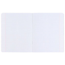 Цена за 20 шт. Тетрадь в клетку 12 листов, 5 видов МИКС, обложка мелованный картон,