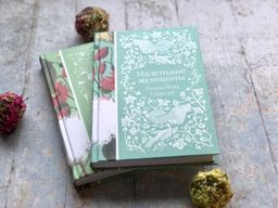 Маленькие женщины (книга #6)