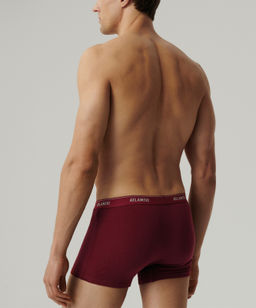 ATLANTIC 2RMH-011 Трусы шорты - набор (2 шт.) графитовый + каберне фото 3