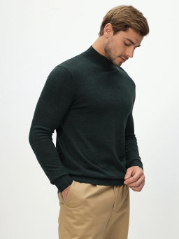 Джемпер мужской GREG G122-CT 205438 (зелёный)