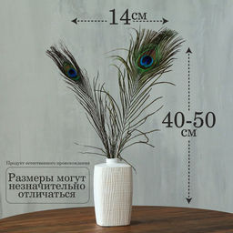 Перо павлина для декора, набор 2 шт., размер 1 шт. — от 40 до 50 см