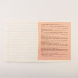 Тетради предметные, 48 л., А5, набор из 4 шт. «Персонажи»