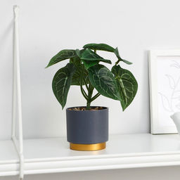 Искусственный цветок в горшке «Алоказия галант», 7.5×15 см